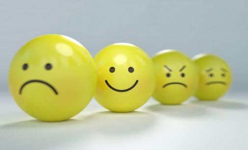 The Price of Cryptocurrencies Influenced by Emotions?