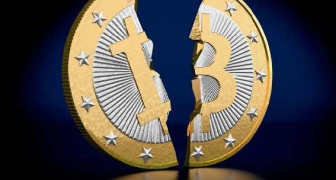 Bitcoin Forks Surge in Value Ahead of Scheduled Halvings