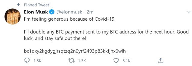 Elon Musk tweet