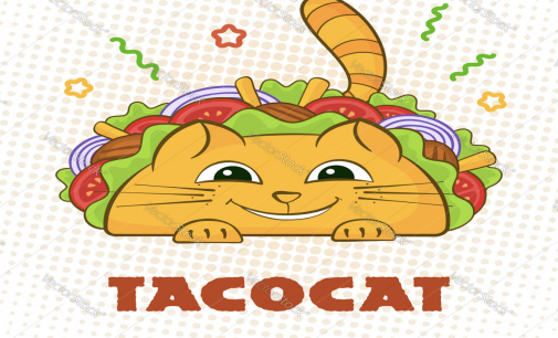 TacoCat Launches Merch Store