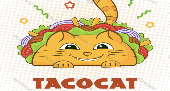 TacoCat Launches Merch Store