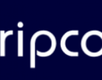 DripCoin Review