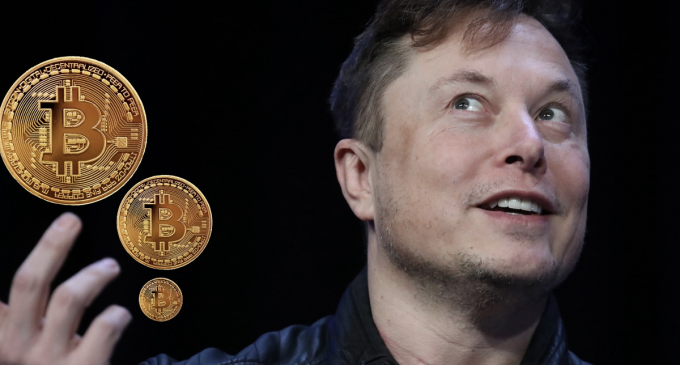 Musk Links His Financial Success to Crypto Support and Investment