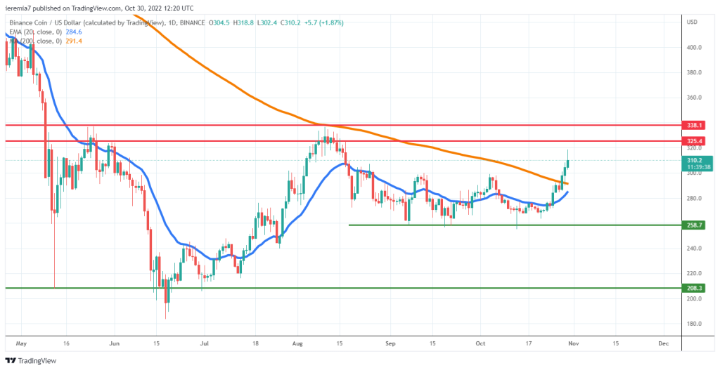 BNBUSD technical analysis