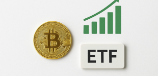 Bitcoin ETF Inflows Surge Ahead Of 2025 Halving As Bullish Sentiment Intensifies