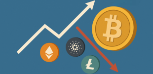 Bitcoin Leads Crypto In 2025 As Altcoins Lose Momentum