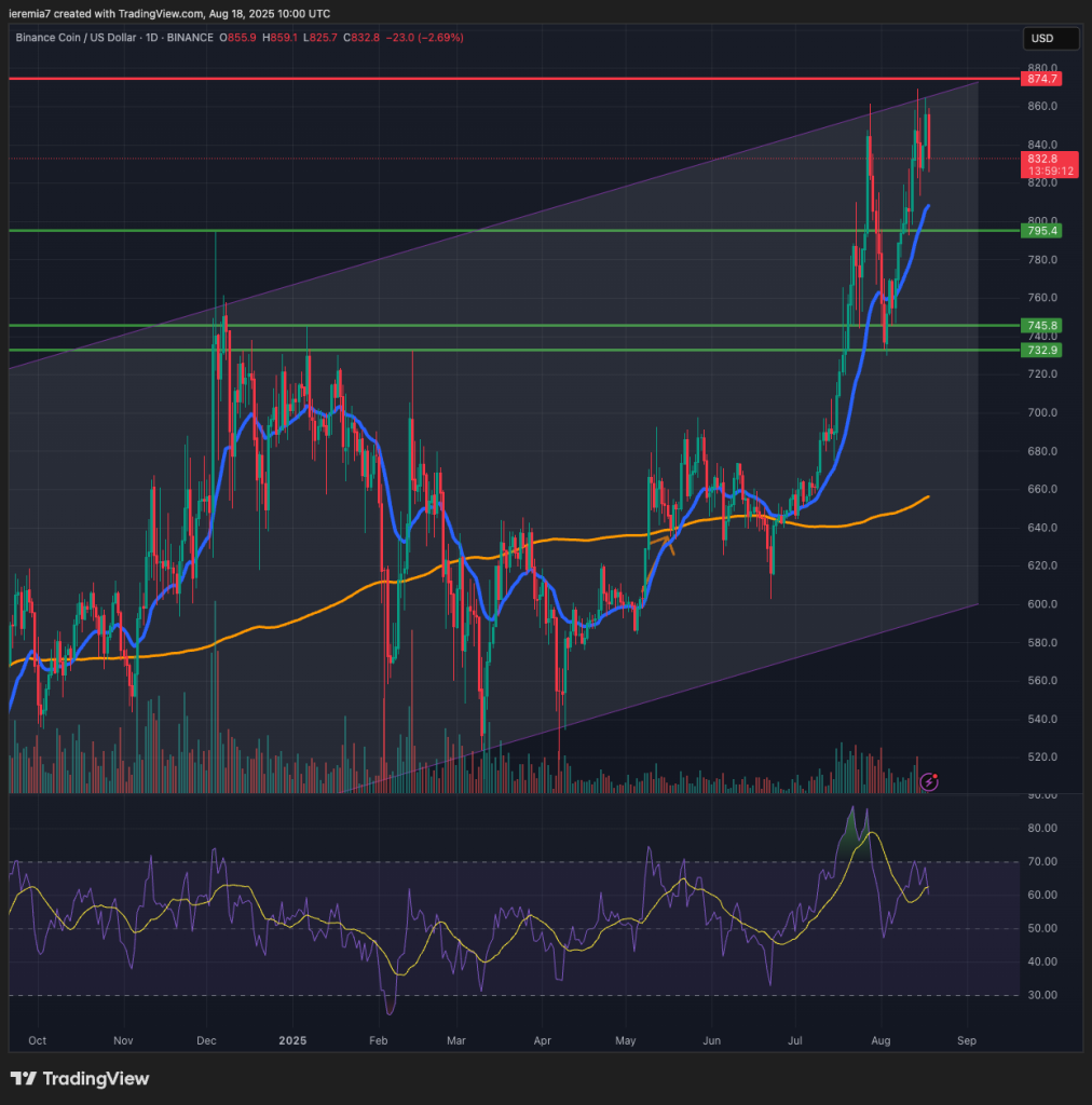 BNBUSD technical analysis
