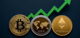 Bitcoin XRP Ethereum Rise: What Is Driving The Latest Crypto Gains?